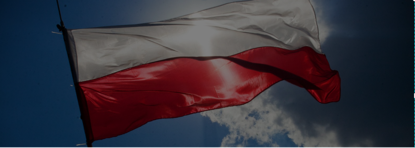 Missione in Polonia 2021 – attività preliminare di scouting per organizzazione b2b